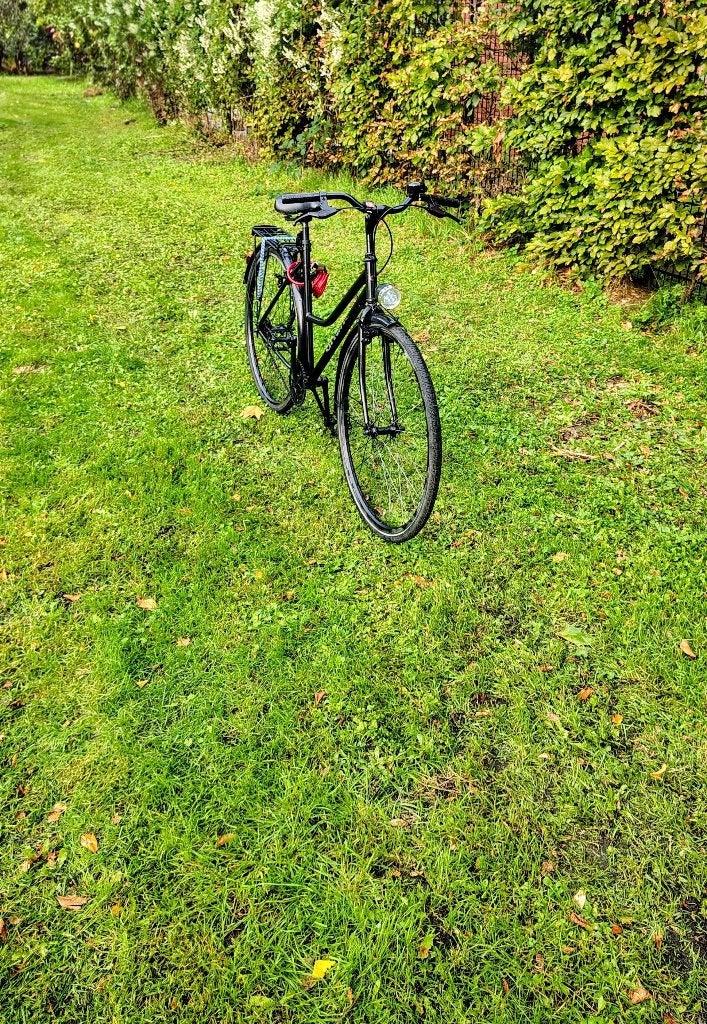 Te koop : Damesfiets GITANE, Velgrem, Zo goed als nieuw, 50 tot 53 cm, Ophalen
