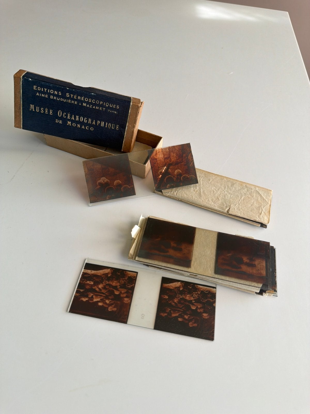 Vintage Stereoscopische Plaatjes - Musée Océanographique, Ophalen of Verzenden, Gebruikt