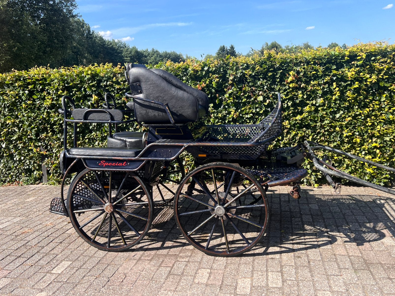 1/2/4 span marathonwagen! Hans meier, Gebruikt, Marathonwagen, Paard