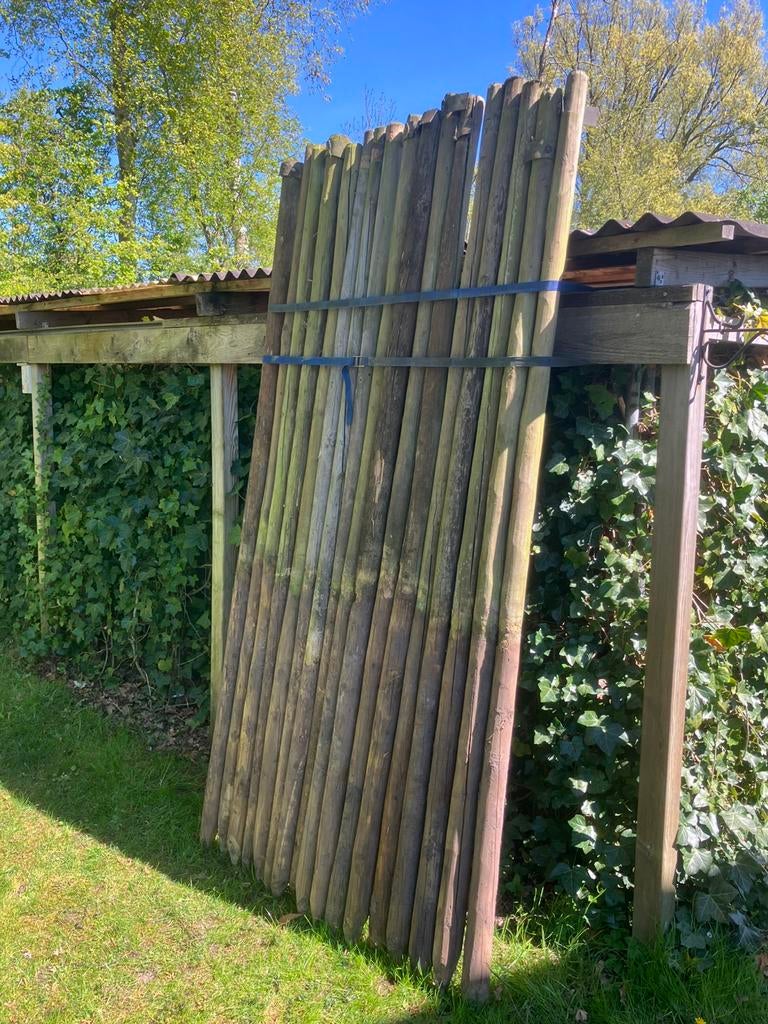 Boompalen, Tuin en Terras, Ophalen, Gebruikt, Hout, Minder dan 3 meter