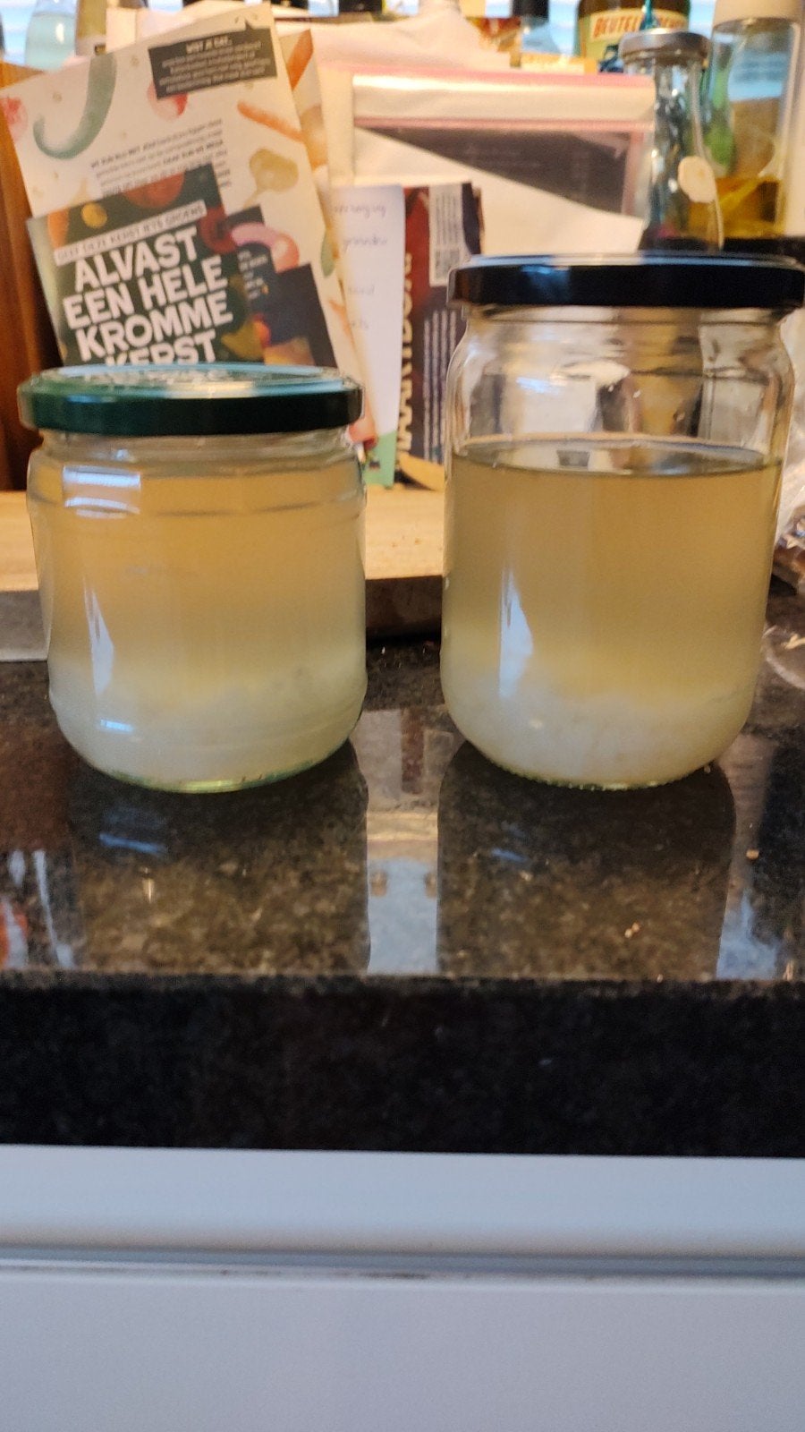 waterkefir korrels, Ophalen of Verzenden