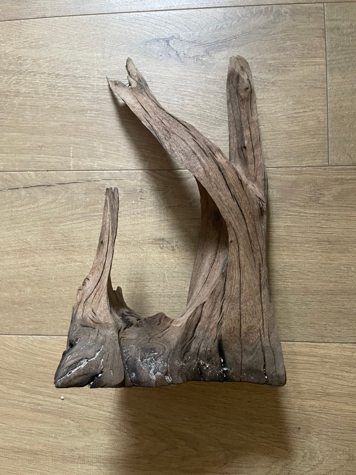 Aquariumhout (kienhout), Ophalen of Verzenden, Zo goed als nieuw, Plant(en), Steen of Hout