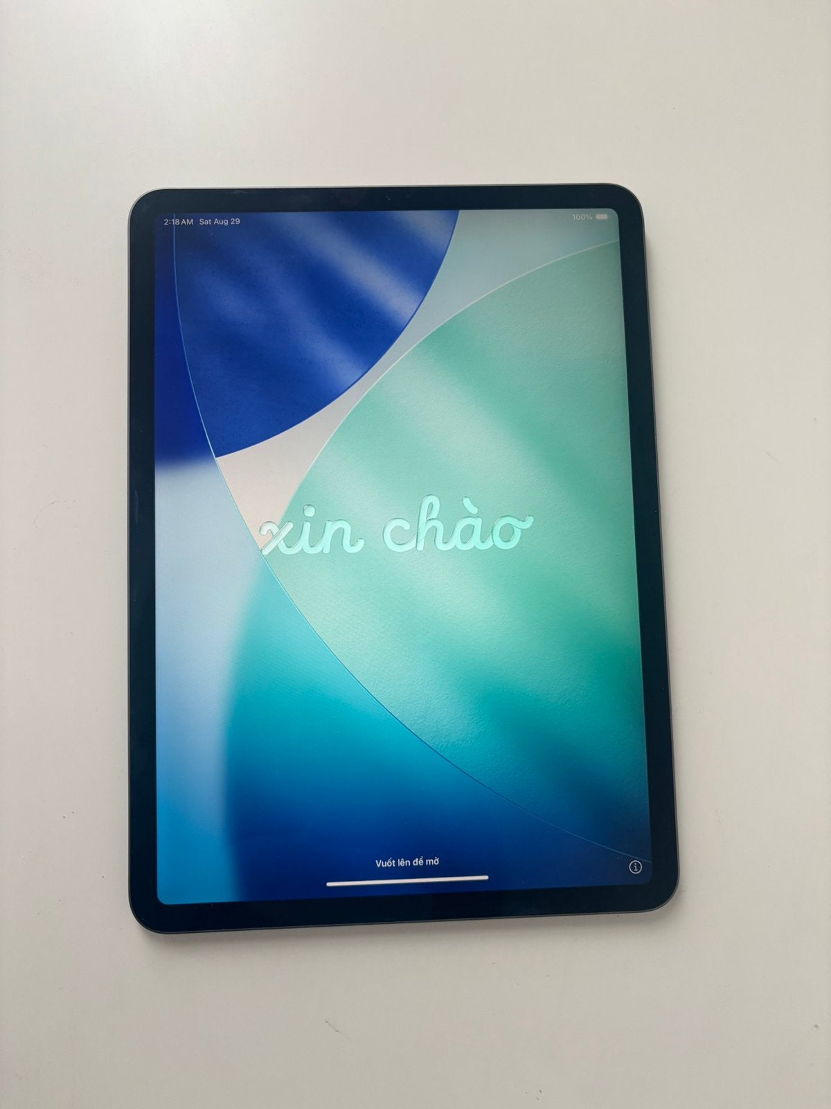 iPad Pro 11” (2018) – 256GB – In zeer nette staat, Computers en Software, Apple iPads, Ophalen, Apple iPad, 11 inch, Zo goed als nieuw