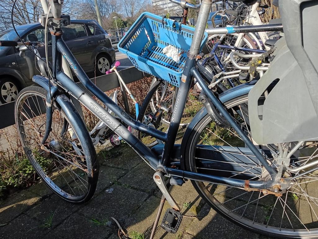 Batavus dames fiets met kinderen st of zonder, Ophalen of Verzenden, Gebruikt, Minder dan 10 versnellingen, Batavus