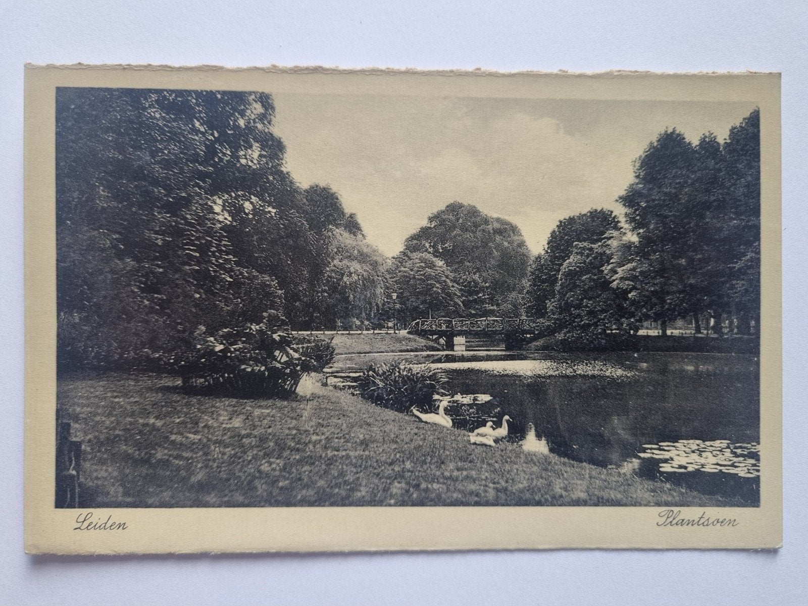 Leiden Plantsoen (A), Ophalen of Verzenden, Voor 1920, Ongelopen, Zuid-Holland
