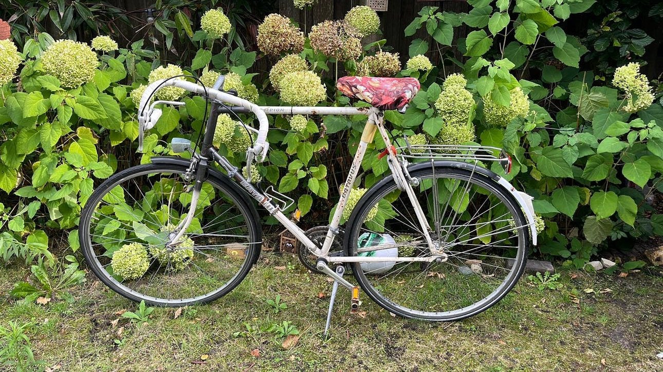 Batavus Champion racefiets, Ophalen, Jaren '50