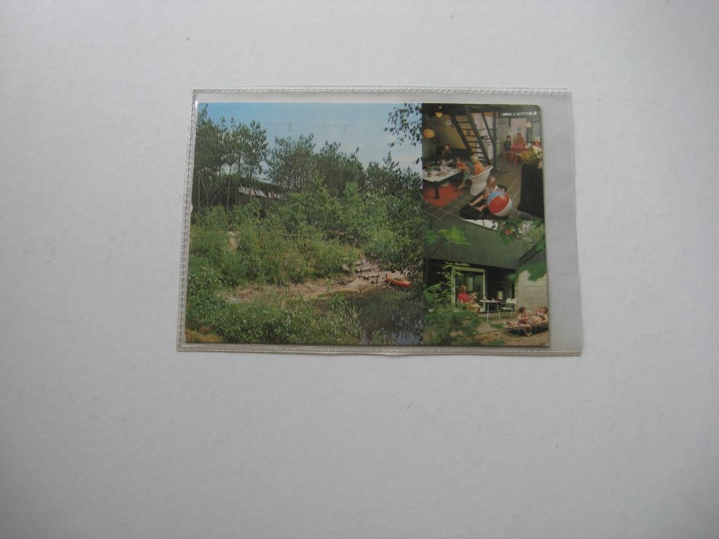 Hapert (Nbr) Het Vennebos, Verzenden, Voor 1920, Gelopen, Noord-Brabant