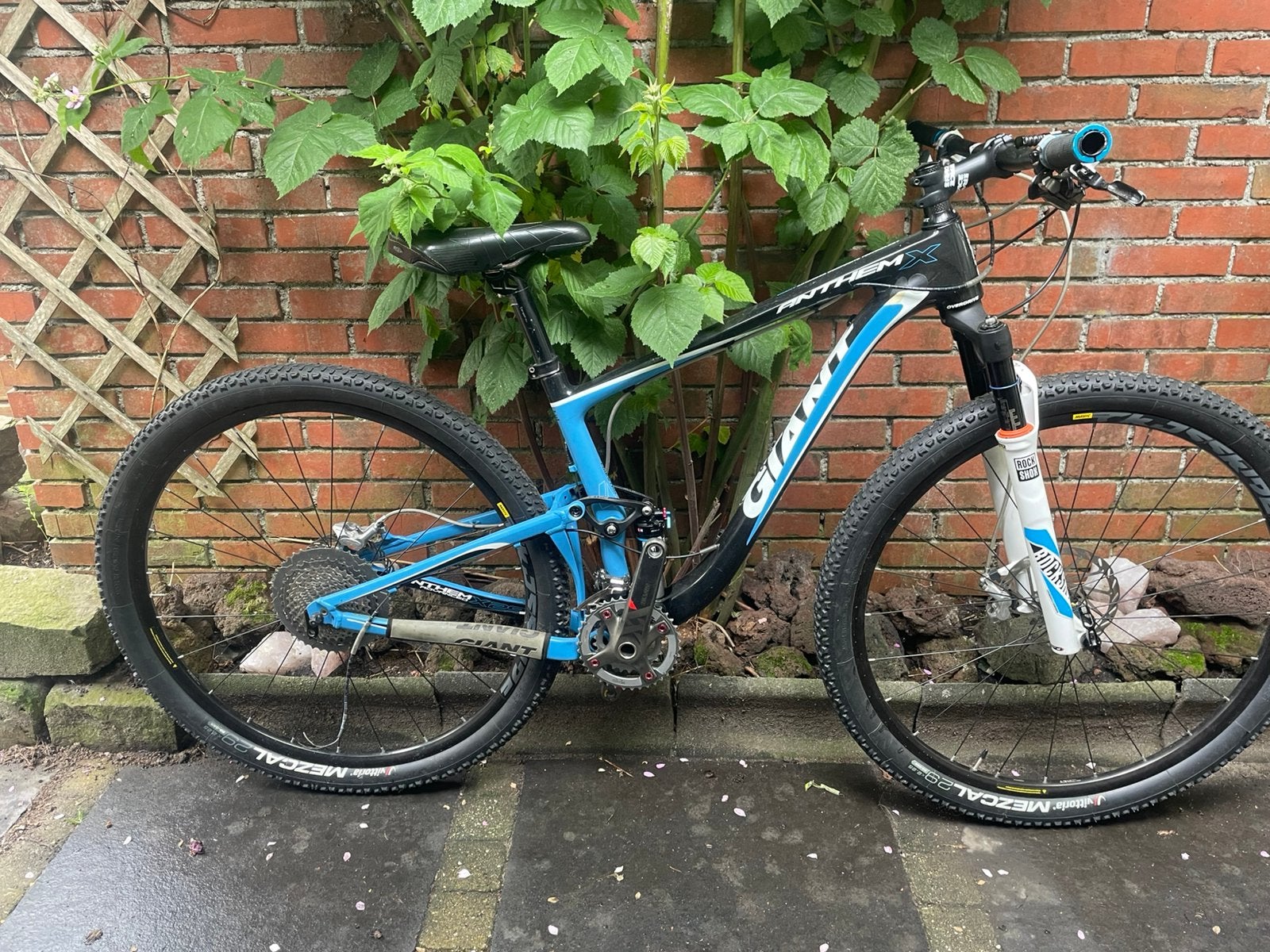 Giant AnthemX maestro 4.0 composite, Fietsen en Brommers, Fietsonderdelen, Zo goed als nieuw, Frame, Carbon, Mountainbike, Ophalen