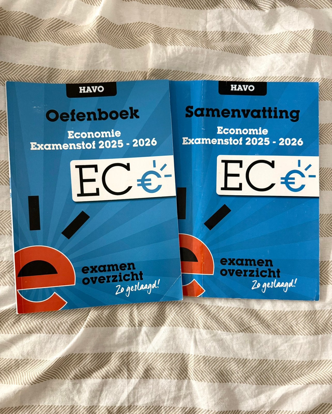 Samenvatting & oefenboek & oefenopgaven - economie Havo, Ophalen of Verzenden, Zo goed als nieuw, HAVO, Economie