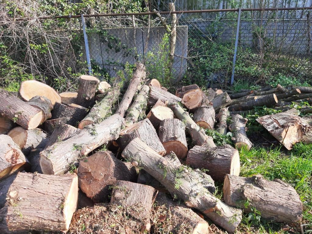 Te koop Kampvuurhout. Scoutinggroepen speciale prijs!!, Tuin en Terras, Haardhout, Stammen, Overige houtsoorten, 3 tot 6 m³, Ophalen