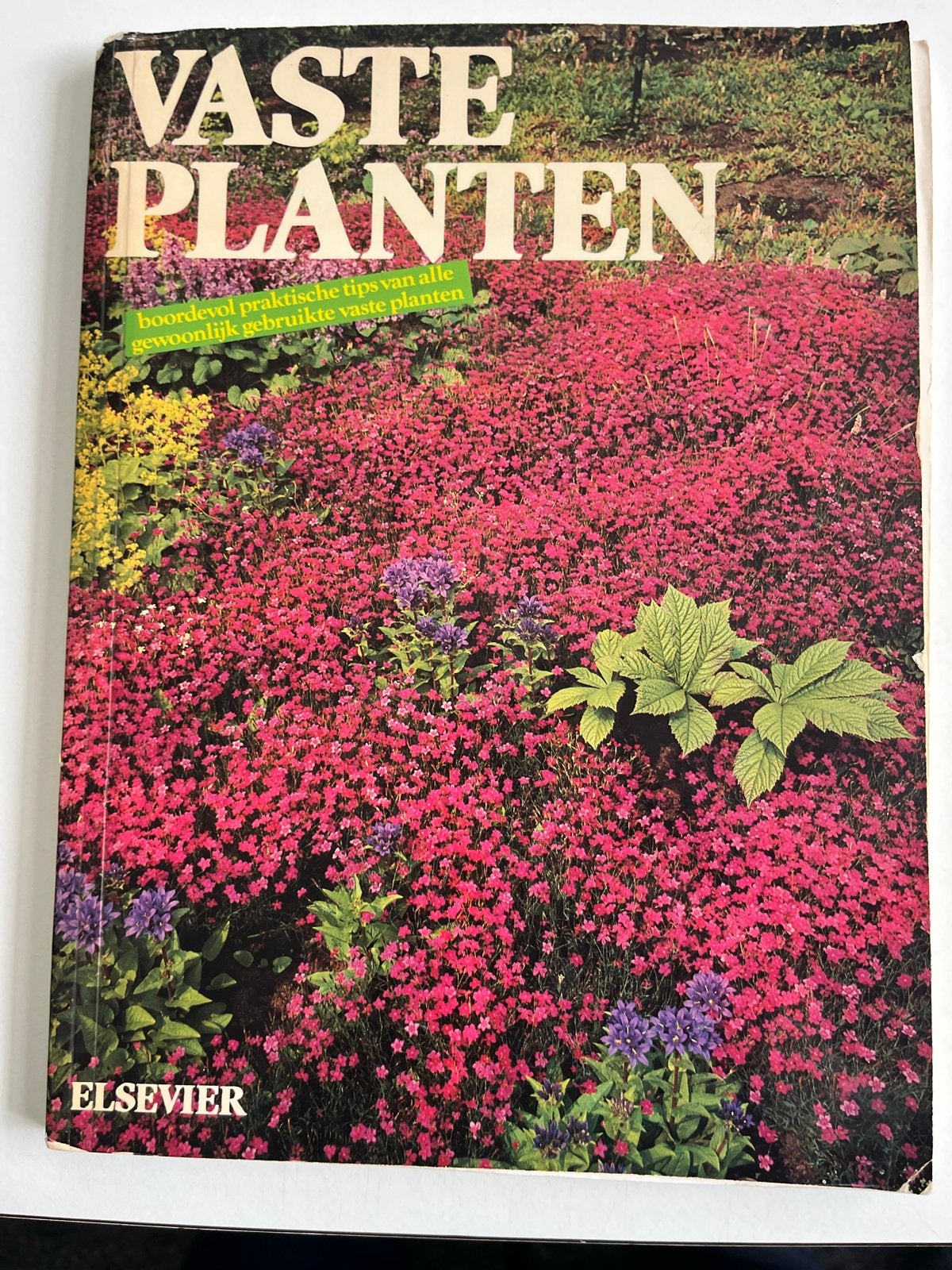 Vaste Planten - Praktische tips voor je tuin, Ophalen of Verzenden, Gelezen, Tuinieren en Tuinplanten