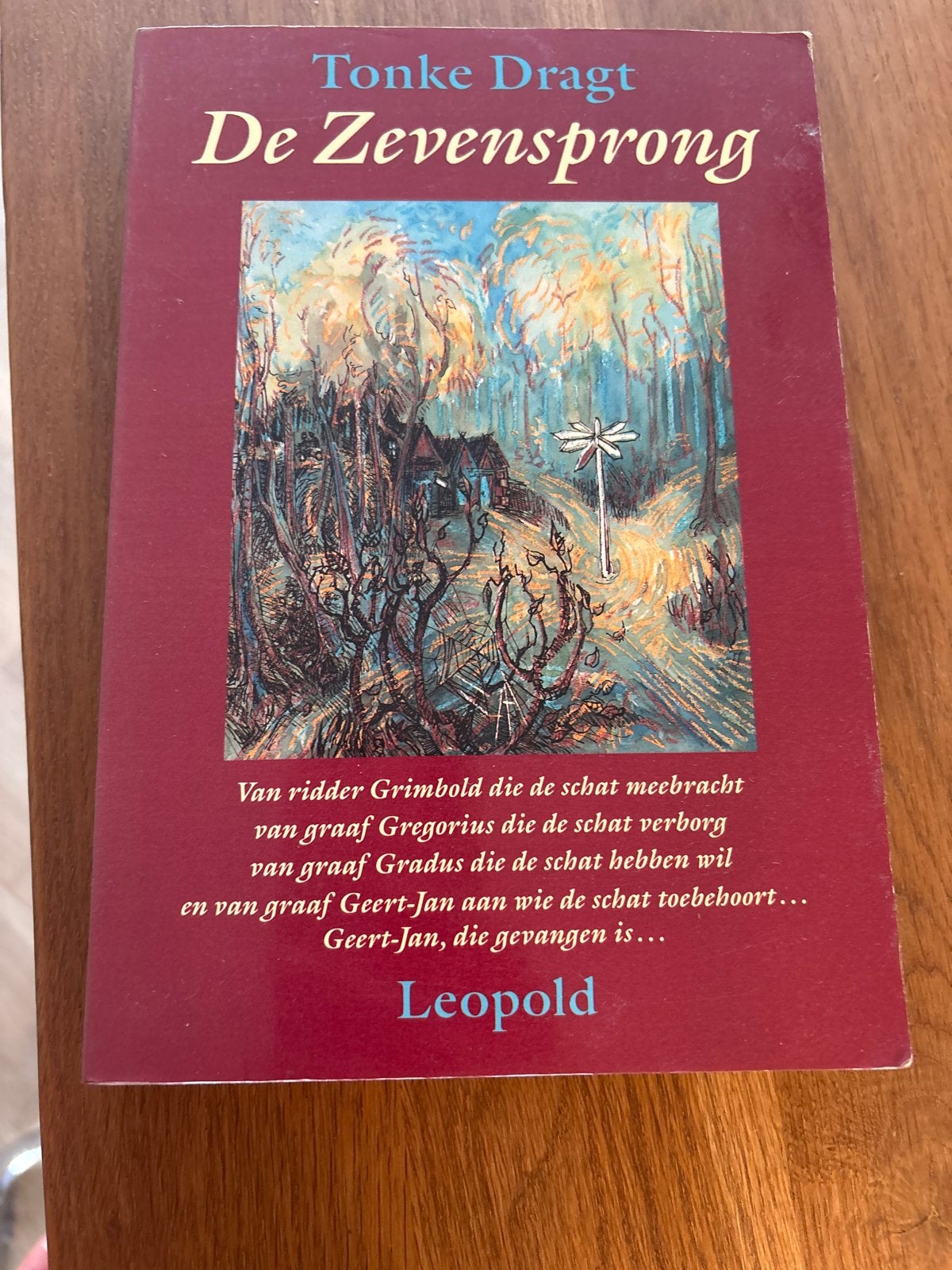 De Zevensprong - Tonke Dragt, Ophalen of Verzenden, Gelezen