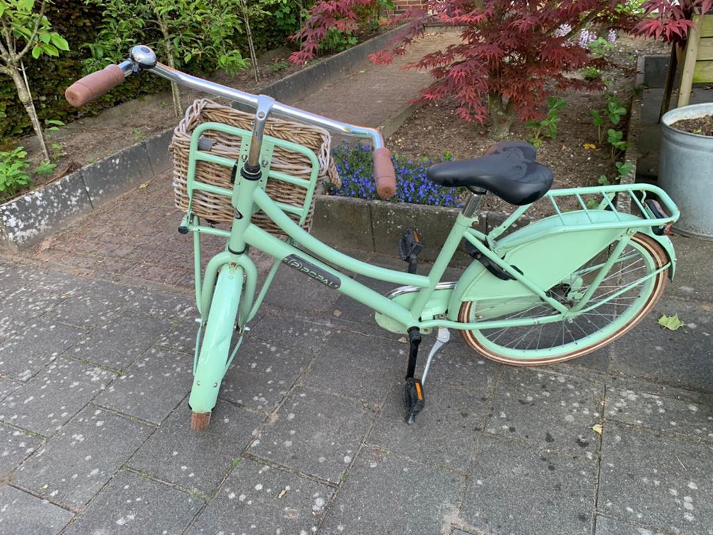 Meisjes fiets incl. mand, Minder dan 47 cm, Ophalen of Verzenden, Gebruikt, Overige merken