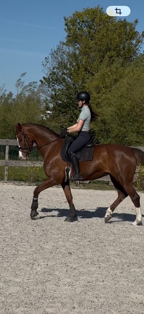 Bijrijder aangeboden, Contacten en Berichten, Sport en Hobby oproepen