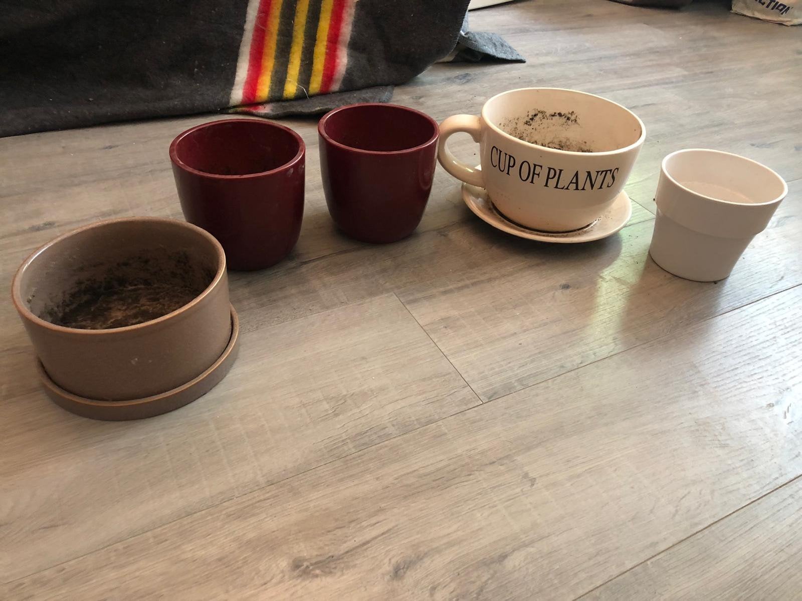 Diverse bloempotten en plantenbakken - Gebruikt, Ophalen, Overige materialen, Gebruikt, Binnen