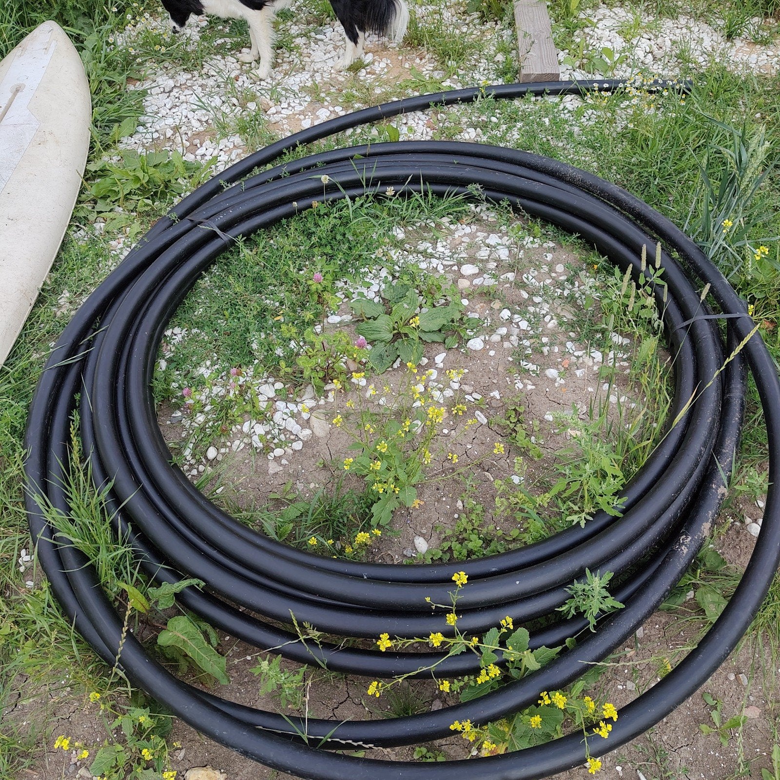 40 meter Tyleenslang HDPE 50 mm x 3,0 mm - 50 meter, Ophalen, Overige materialen, 6 meter of meer, Overige typen