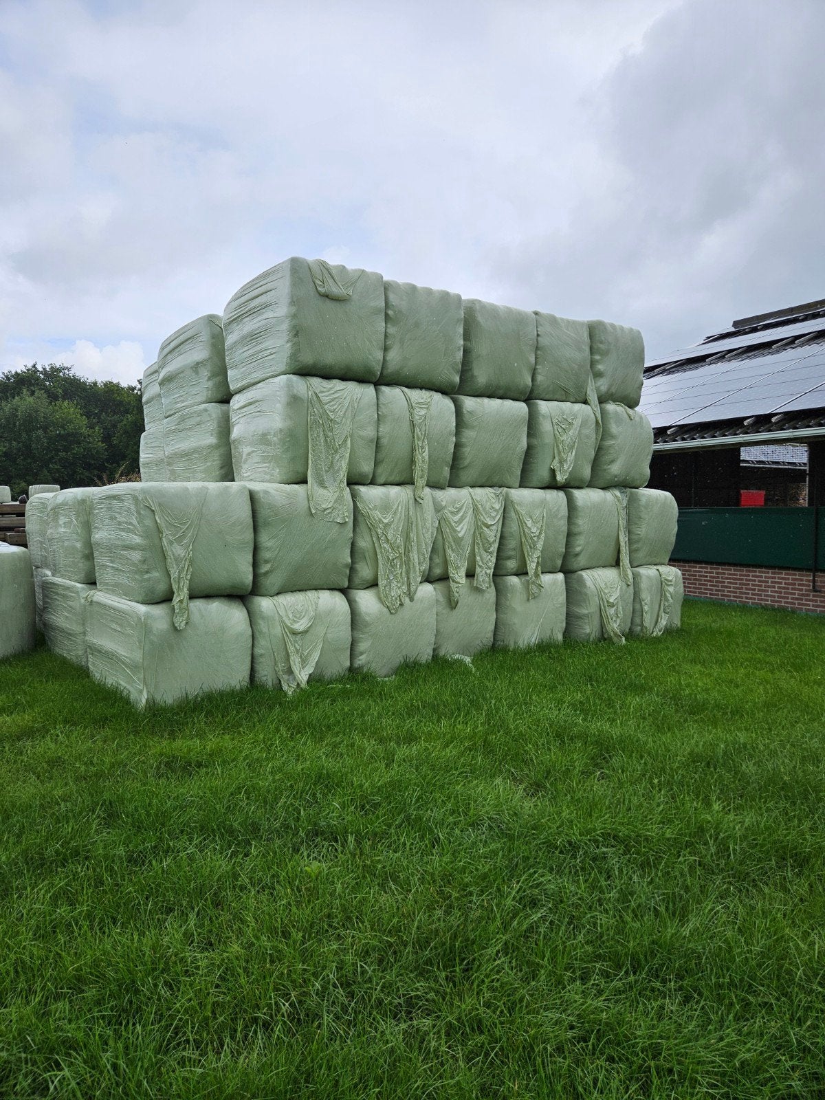 Prachtig mooi paarden hooi te koop