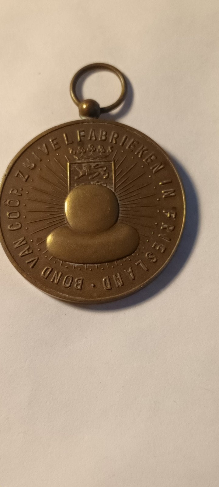 Historische Medaille Coöp. Zuivelfabriek Giekerk 1972 brons, Ophalen of Verzenden, Brons, Nederland