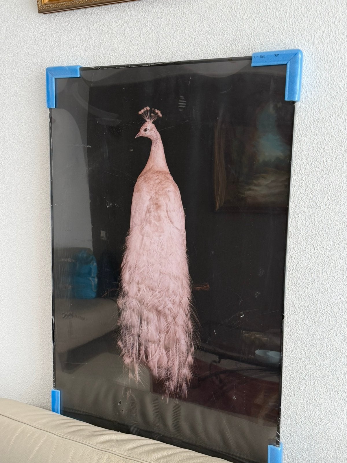 Wanddecoratie poster 60x90, Ophalen, Zo goed als nieuw, Overige onderwerpen