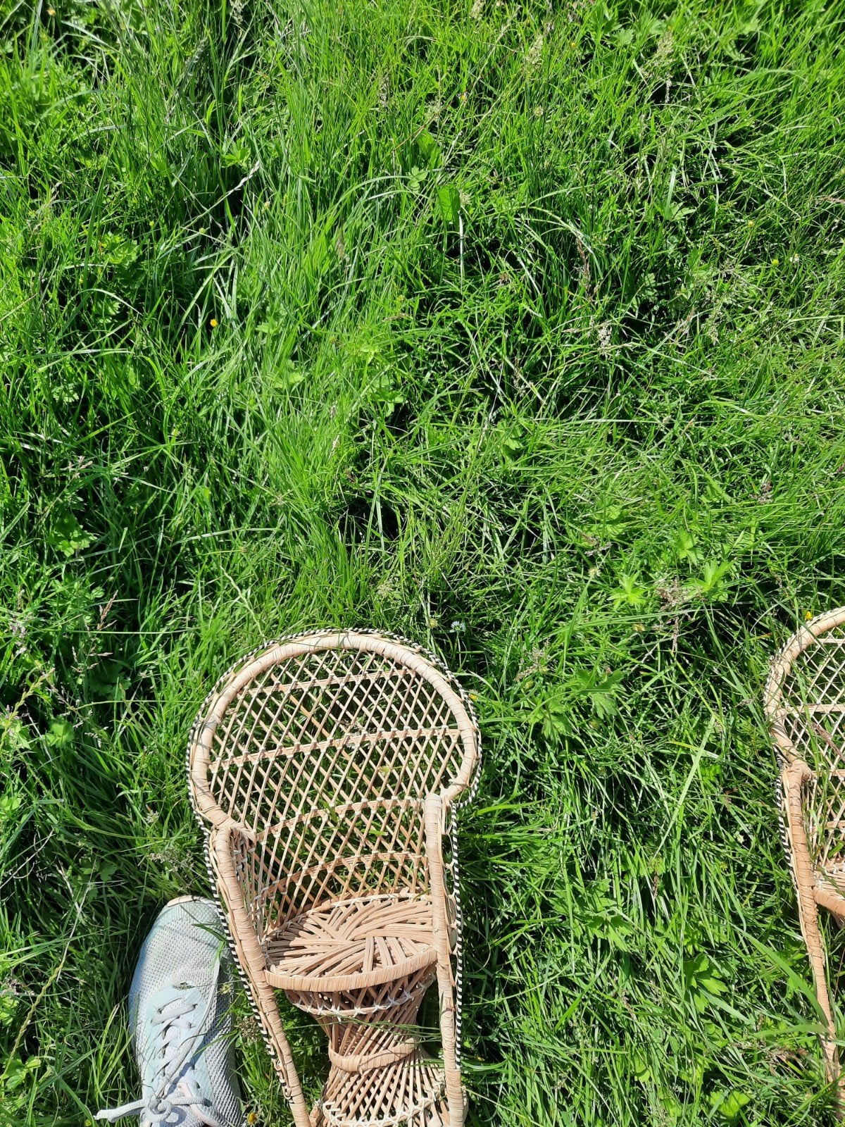 2 Rotan Rieten Poppenstoeltjes, Ophalen of Verzenden, Jongen of Meisje