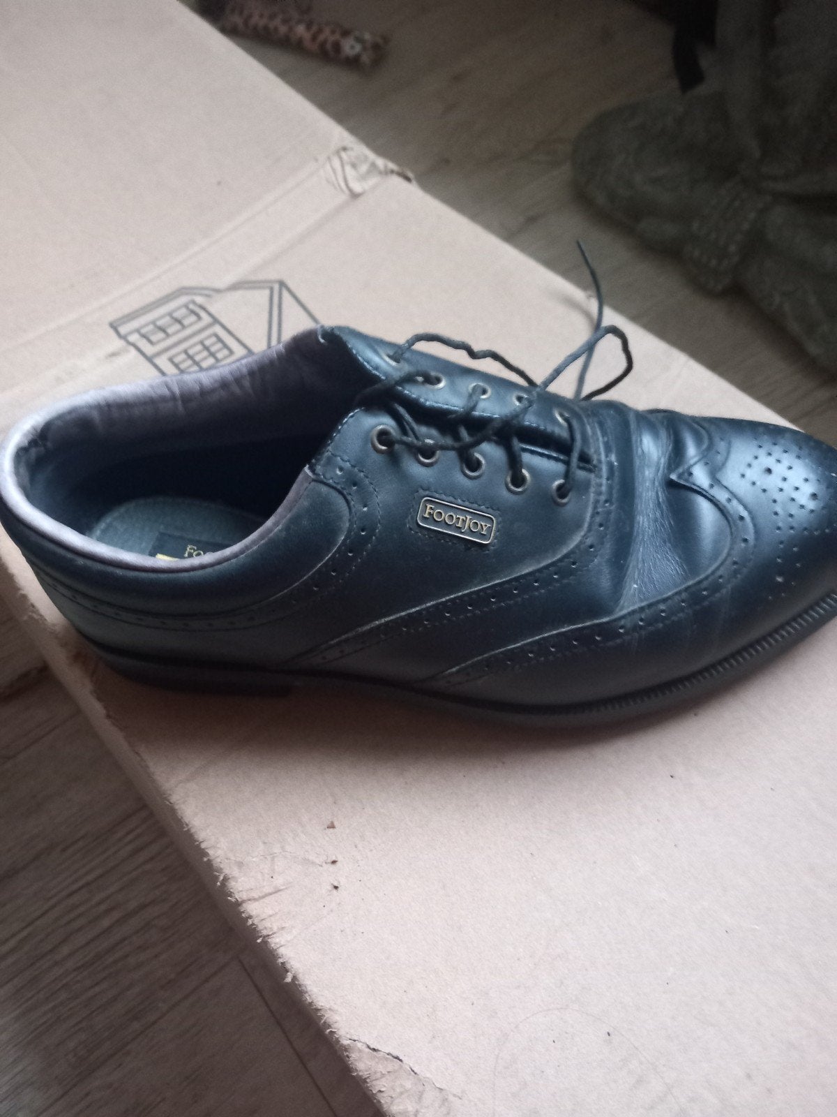FootJoy golfschoenen maat 41, Ophalen of Verzenden, Gebruikt, Schoenen
