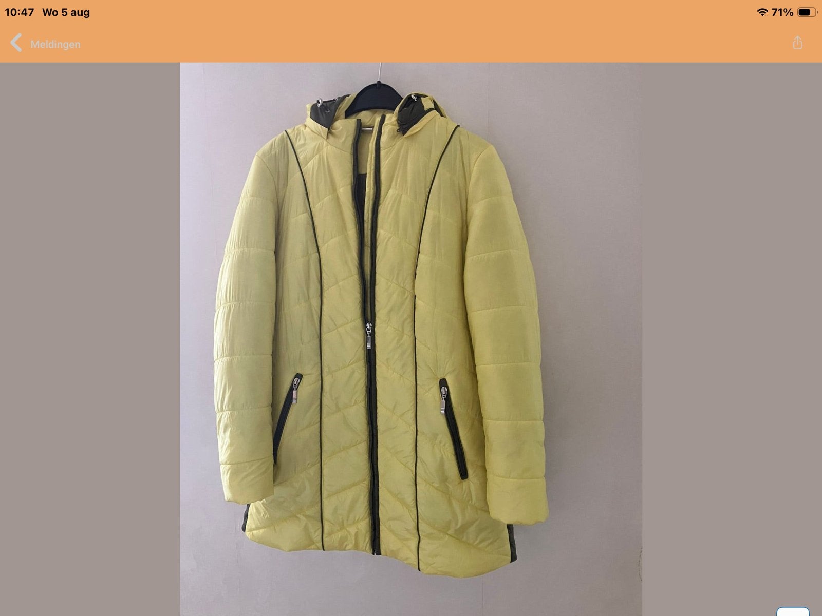 Gele winter. Jas mt 40., Verzenden, Nieuw, Maat 38/40 (M), Geel