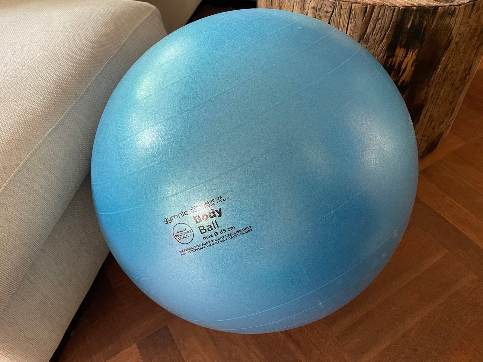 Gymnic Body Ball - Fitnessbal 65 cm, Ophalen, Gebruikt, Buik, Fitnessbal