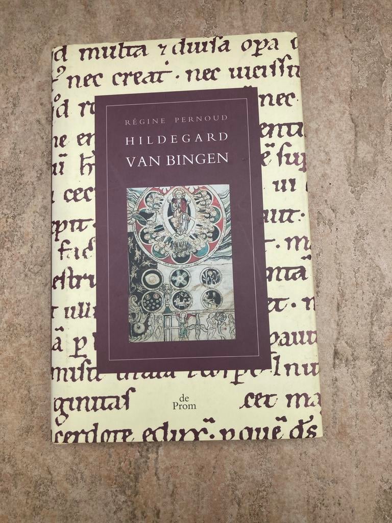 Hildegard van Bingen - Régine Pernoud (biografie), Ophalen of Verzenden, Gelezen, Religie