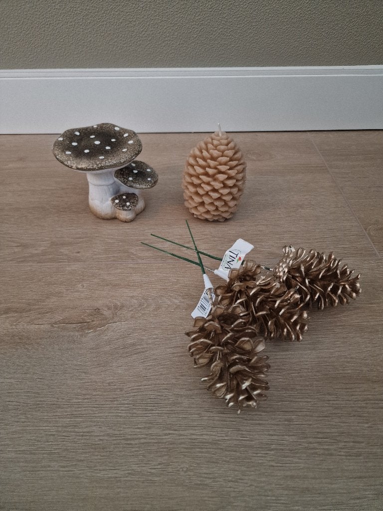 Herfst decoratie NIEUW, Overige materialen, Beige, Nieuw, Ophalen of Verzenden
