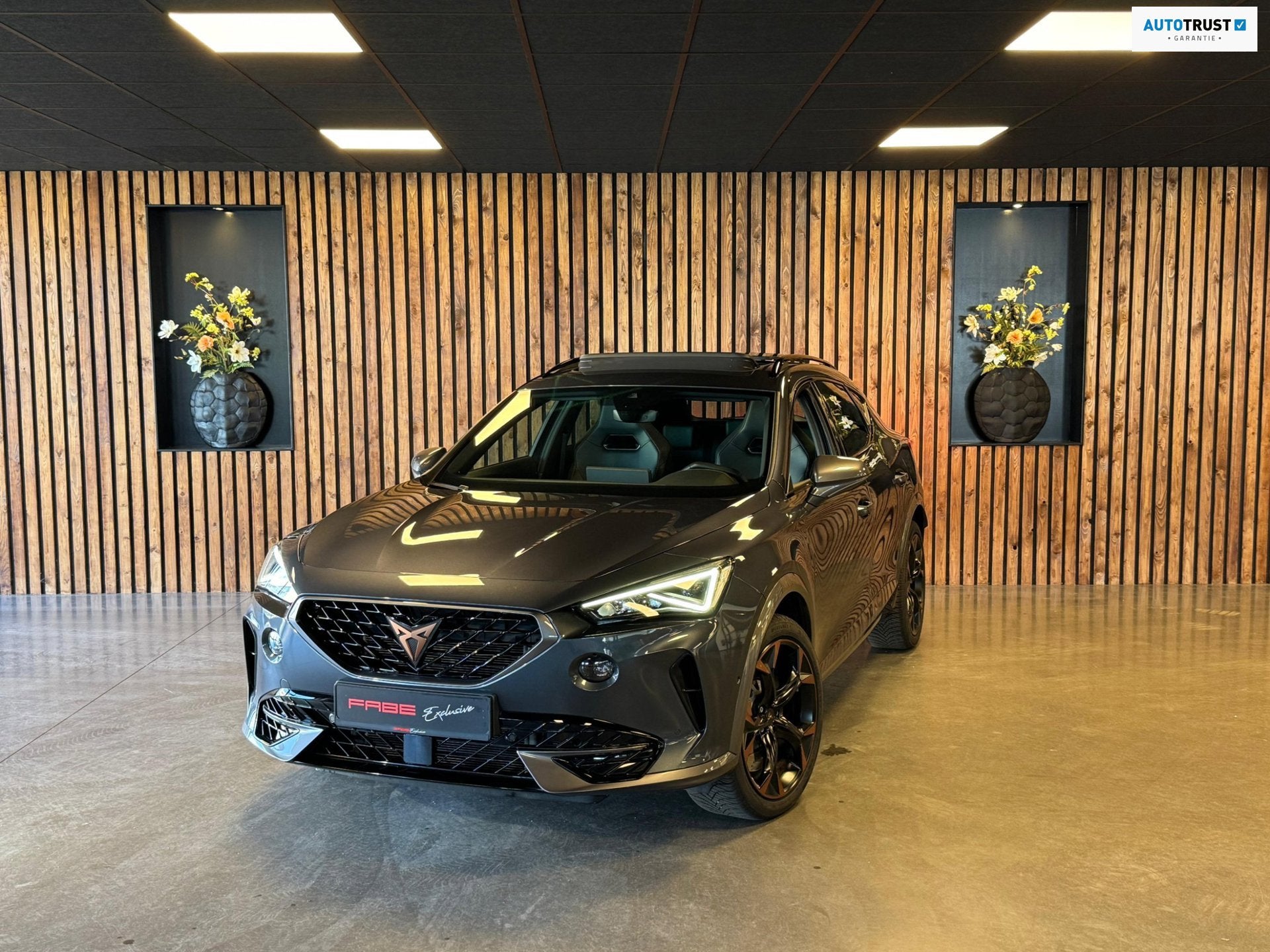 Cupra FORMENTOR 2.0 TSI 4DRIVE / Brembo / Beats / Pano / Stu, Auto's, Cupra, Automaat, Euro 6, 4 cilinders, Vierwielaandrijving