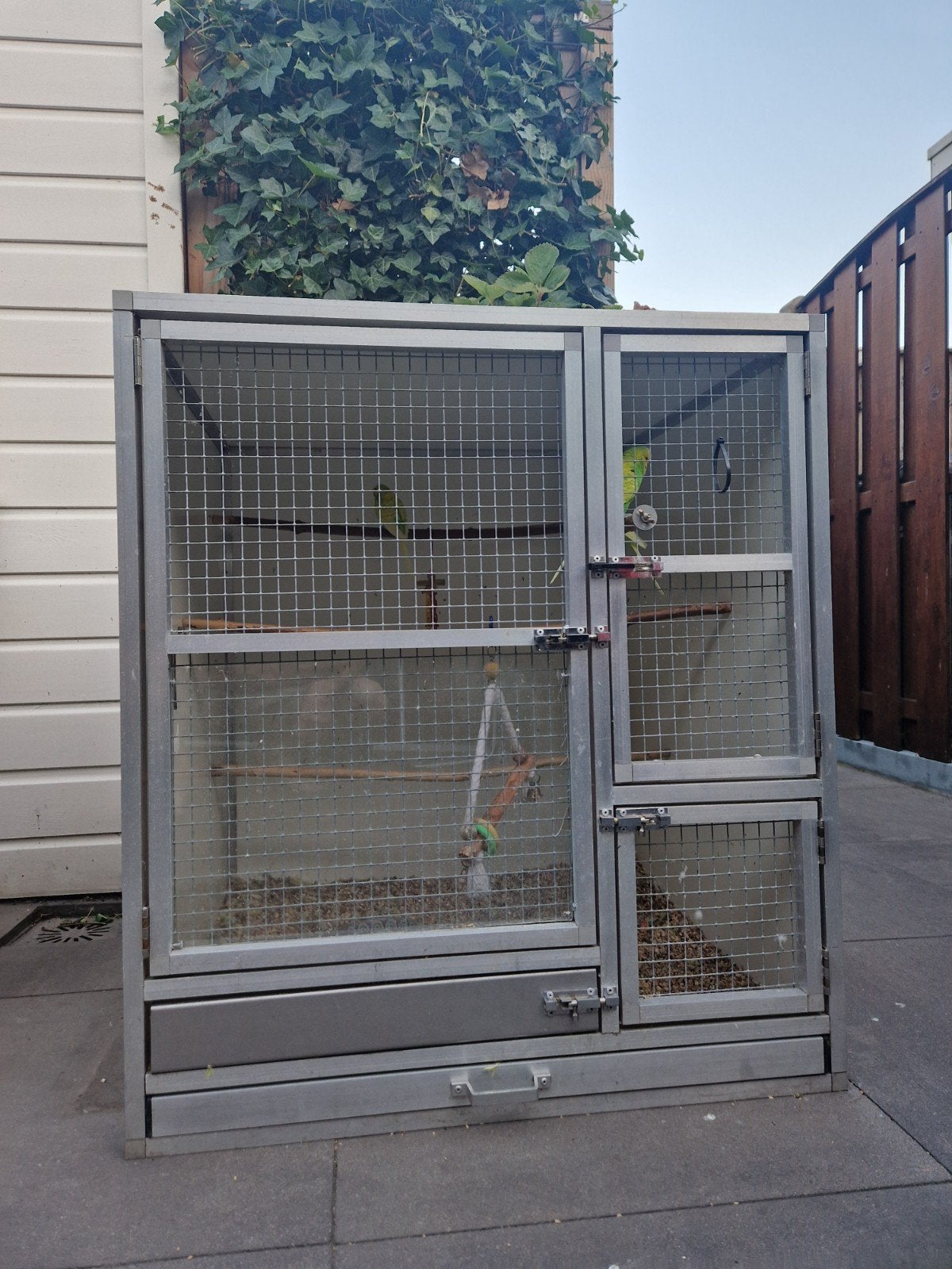 Te koop volgelkooi, Dieren en Toebehoren, Ophalen