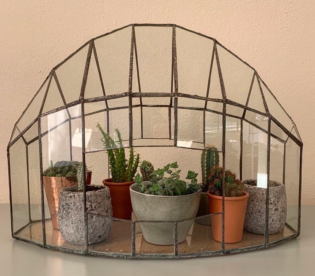 Glazen terrarium/mini kas voor planten - vintage, Ophalen, Vintage, Gebruikt, Glas