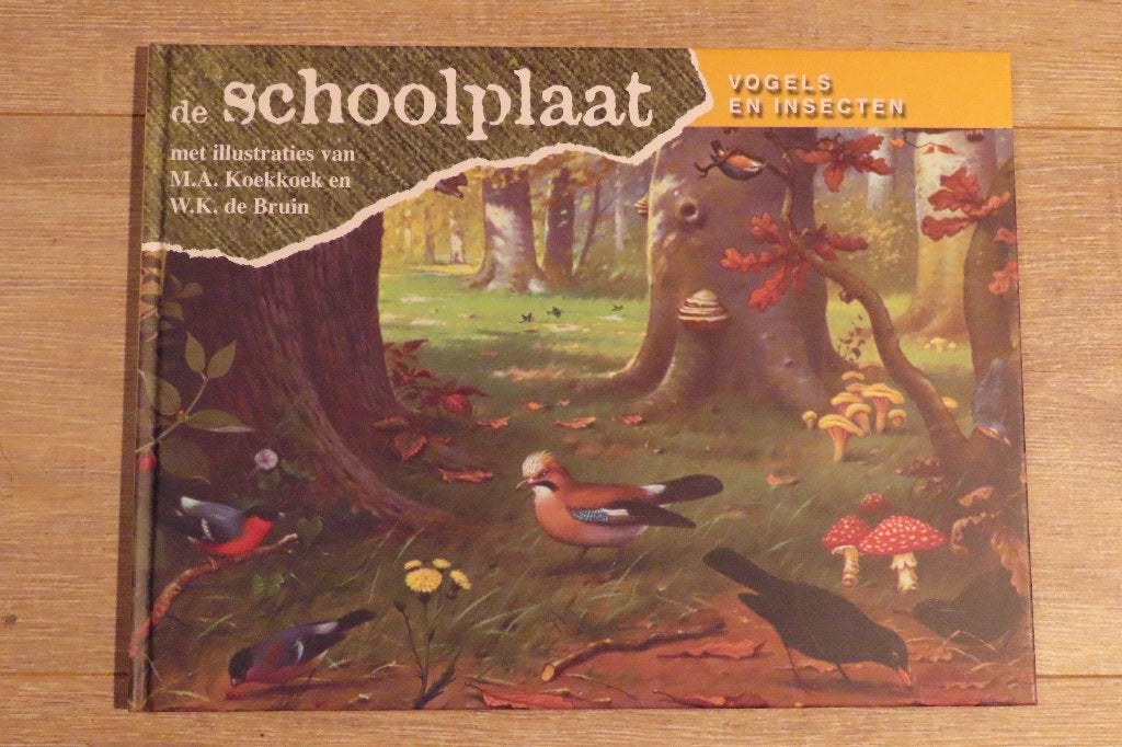 de Schoolplaat, Vogels en insecten, Boeken, Natuur, Ophalen of Verzenden, Zo goed als nieuw, Vogels