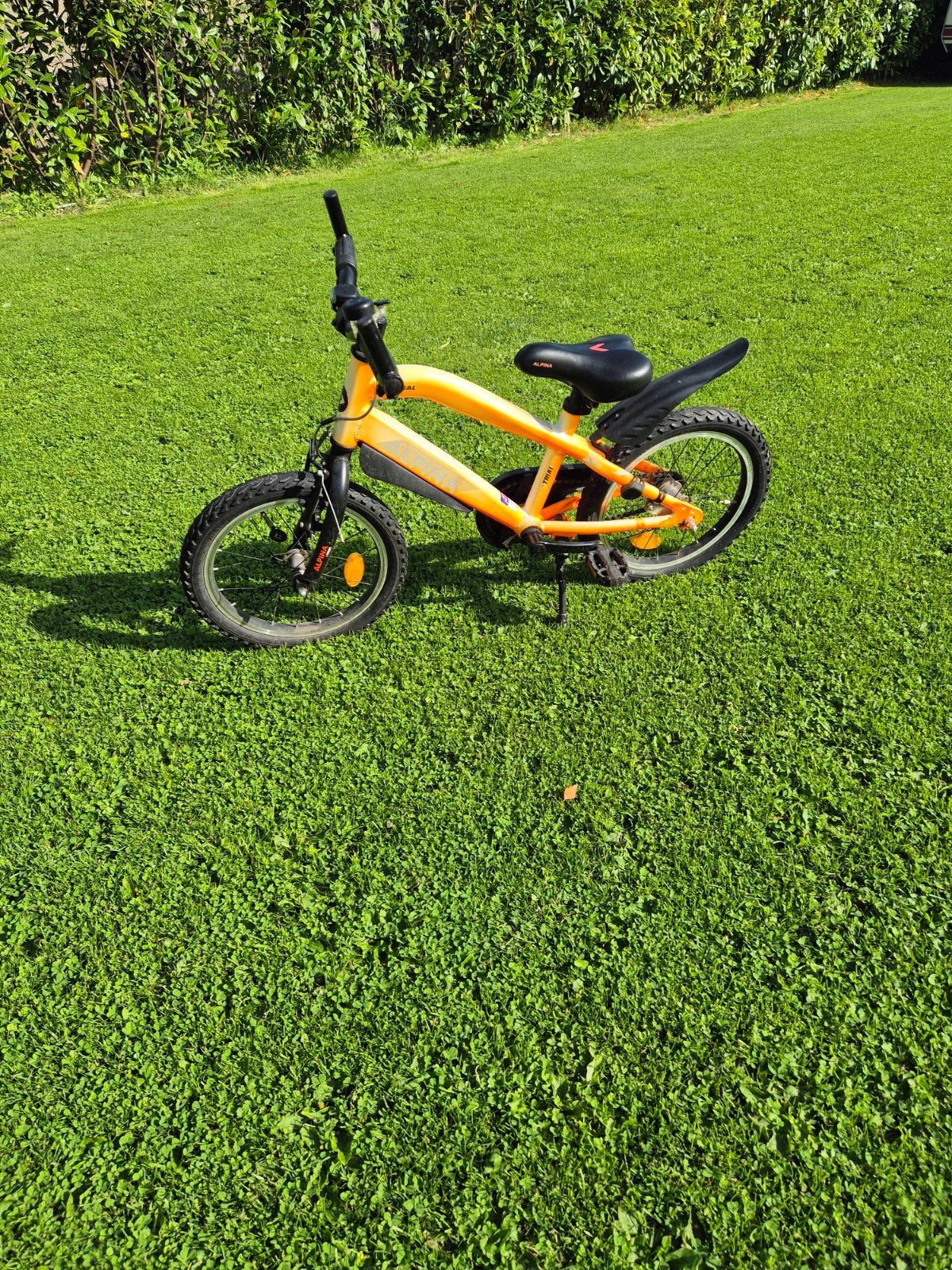 Alpina fiets 16 inch - Perfect voor jonge avonturiers!, Ophalen, Gebruikt, 16 tot 20 inch, Alpina