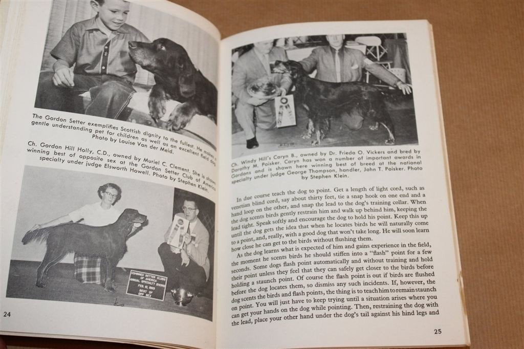 How to Raise a Gordon Setter — Hondenras, Opvoeding 1965, Ophalen of Verzenden, Gelezen, Honden