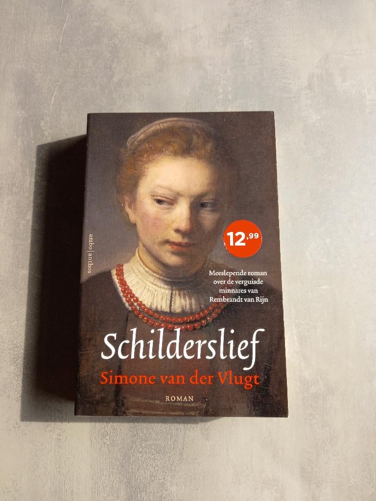 Schilderslief - Simone van der Vlugt, Ophalen of Verzenden, Gelezen, Simone van der Vlugt