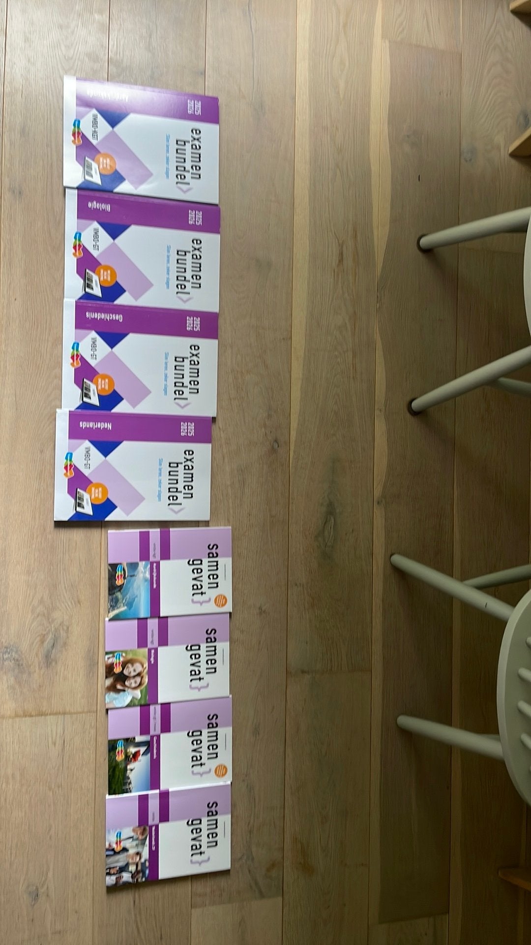Examenbundel & Samengevat VMBO- TL 2025-2026), Boeken, Schoolboeken, Ophalen of Verzenden, Zo goed als nieuw, VMBO, Aardrijkskunde