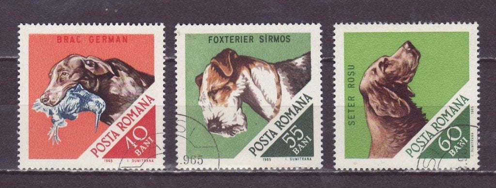 Roemenie Dieren Honden 2472, Ophalen of Verzenden, Dier of Natuur