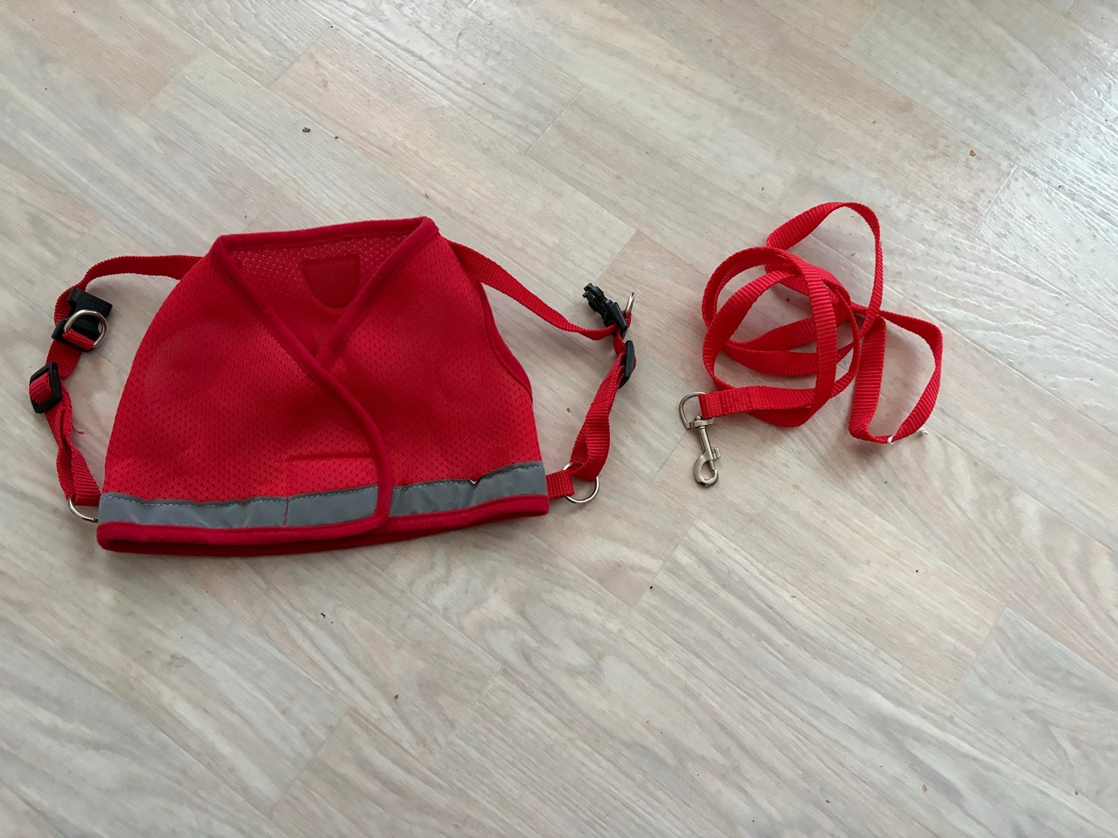Te Koop: Rood Huisdierentuigje met Riem, Dieren en Toebehoren, Ophalen of Verzenden, Zo goed als nieuw