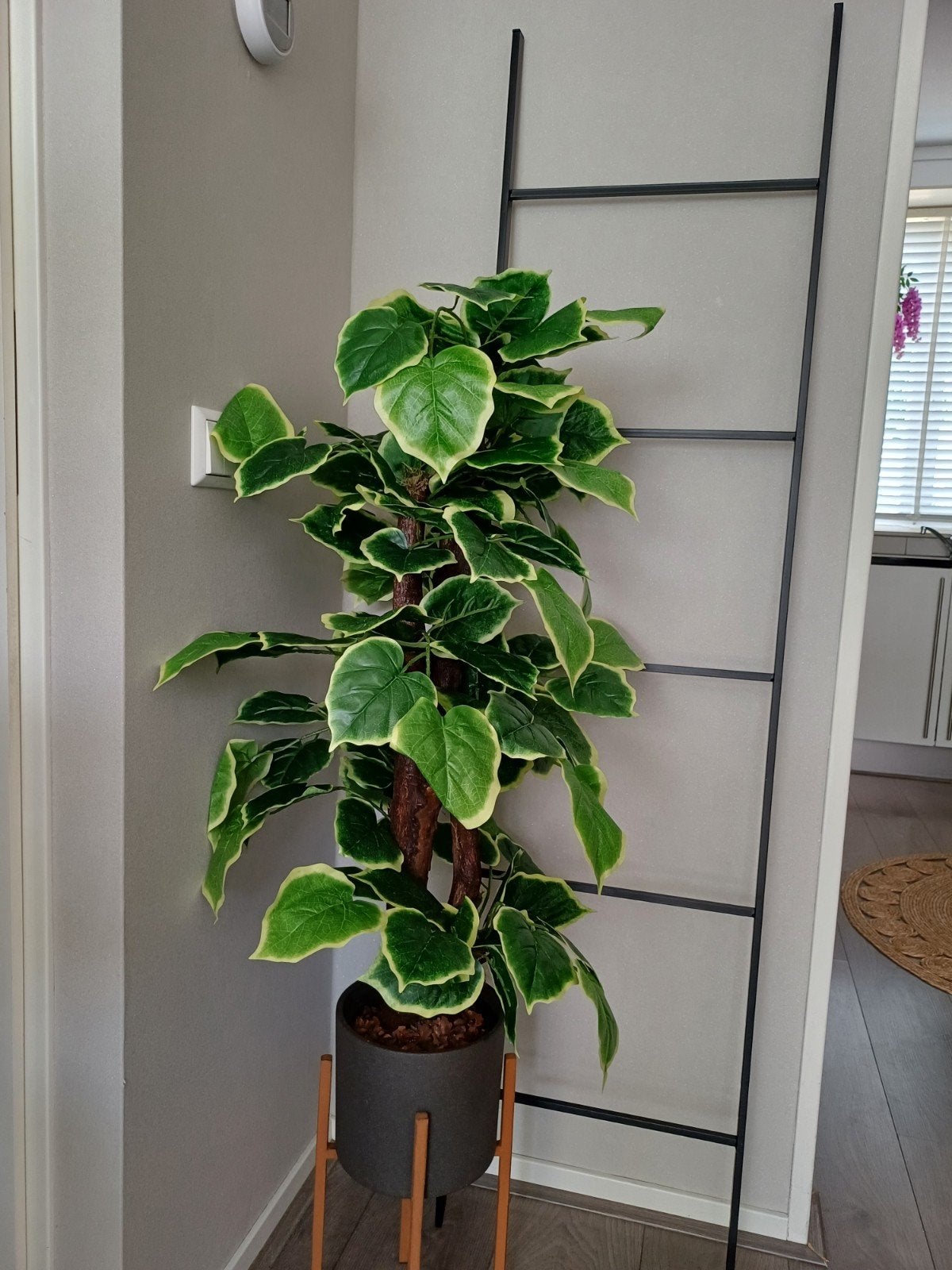 Grote Kunstplant - Realistische Ficus Look, Binnen, Groen, Onderhoudsvrij, Kunstplant