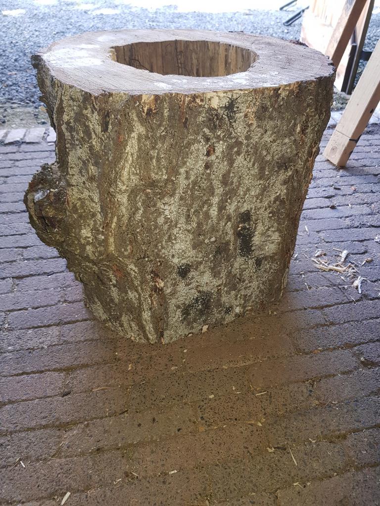 Holle boomstam 3 stuks, Ophalen, Gebruikt, Rond, Hout
