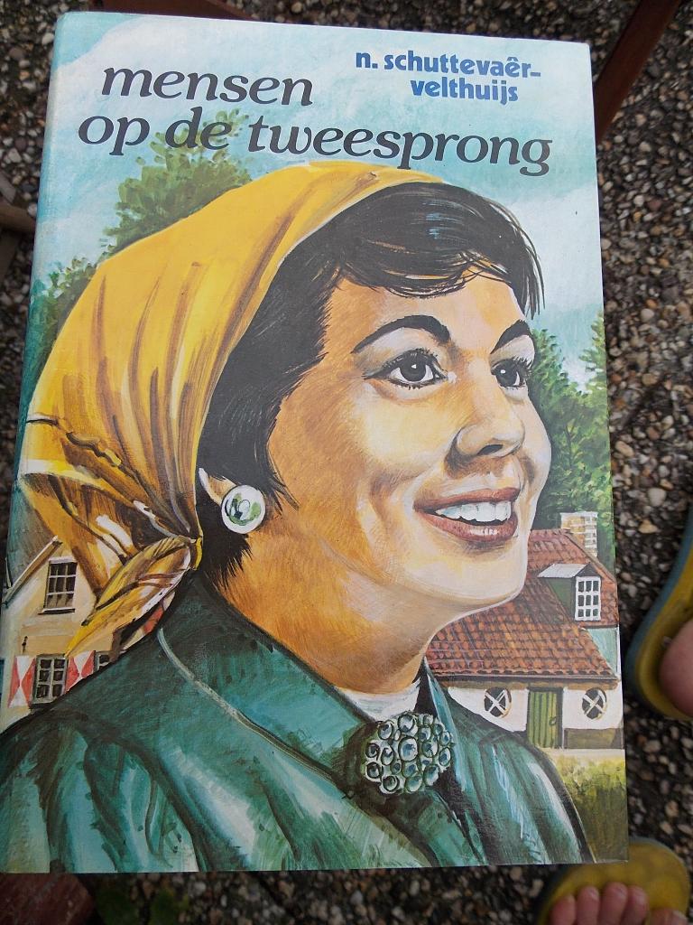 Mensen op de tweesprong - N. Schuttevaer-Velthuis - boek, Ophalen of Verzenden, Gelezen