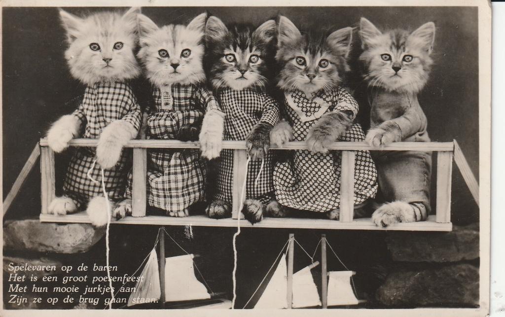 Poesen, Ophalen of Verzenden, 1920 tot 1940, Gelopen, Hond of Kat