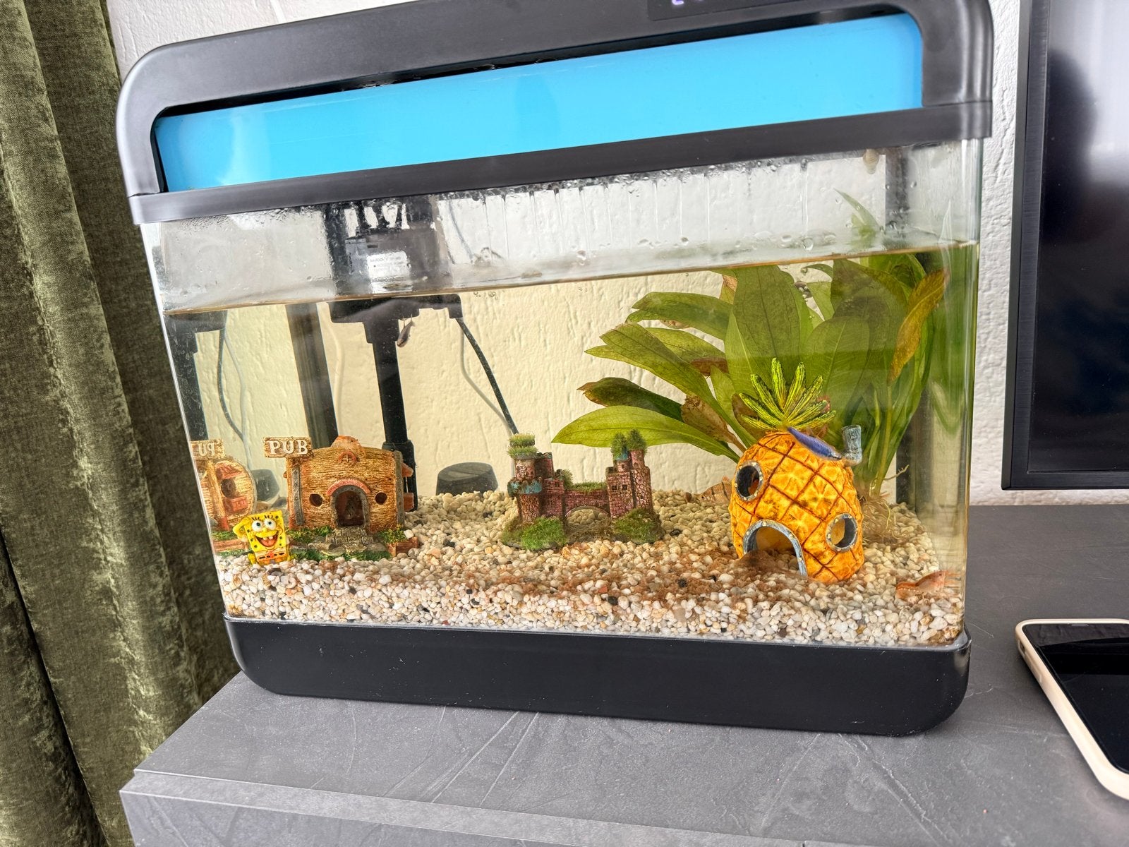 Aquarium + met vissen, Dieren en Toebehoren, Vissen | Aquaria en Toebehoren, Ophalen, Inclusief vissen, Gevuld zoetwateraquarium