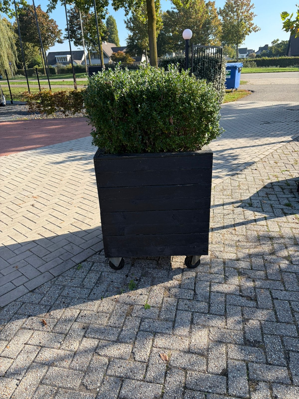 Plantenbak 80x80x80cm ilex planten 40/50 cm, Ophalen, Zo goed als nieuw, Hout
