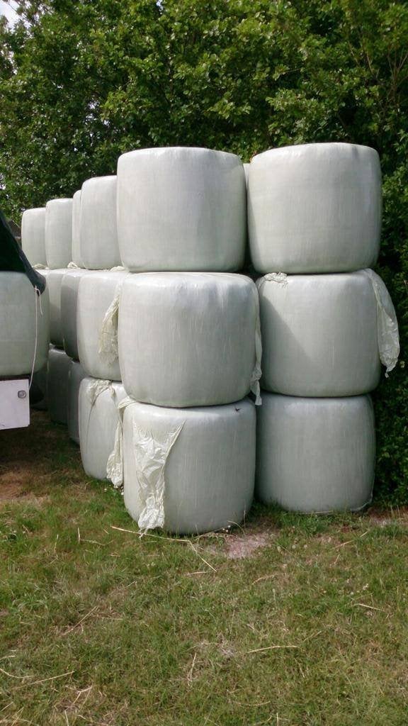 Midi Hooi Balen Plastic Verpakt Paarden Pony 1e Snede 2026, Ophalen, Vee
