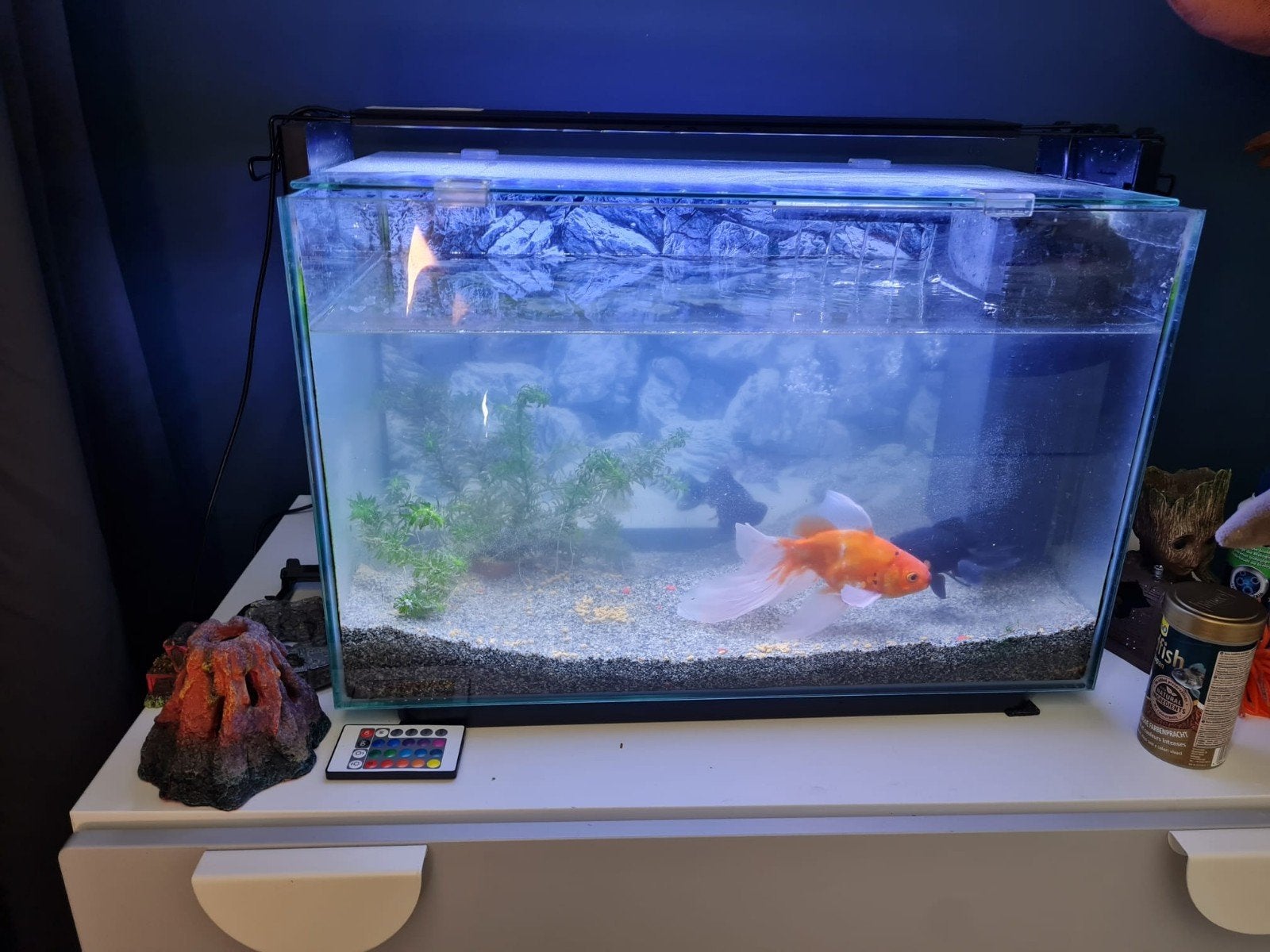 Aquarium met vissen en toebehoren te koop bieden vanaf €50,, Dieren en Toebehoren, Ophalen, Zo goed als nieuw, Leeg aquarium