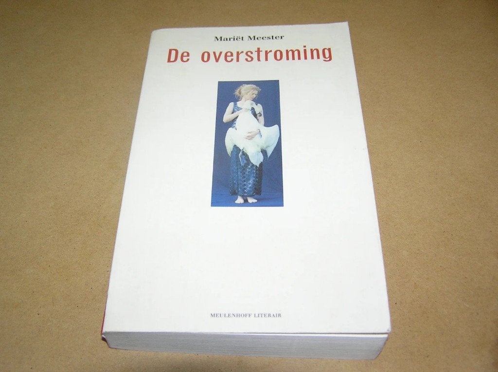 De Overstroming - Mariët Meester, Ophalen of Verzenden, Zo goed als nieuw, Nederland, Mariët Meester
