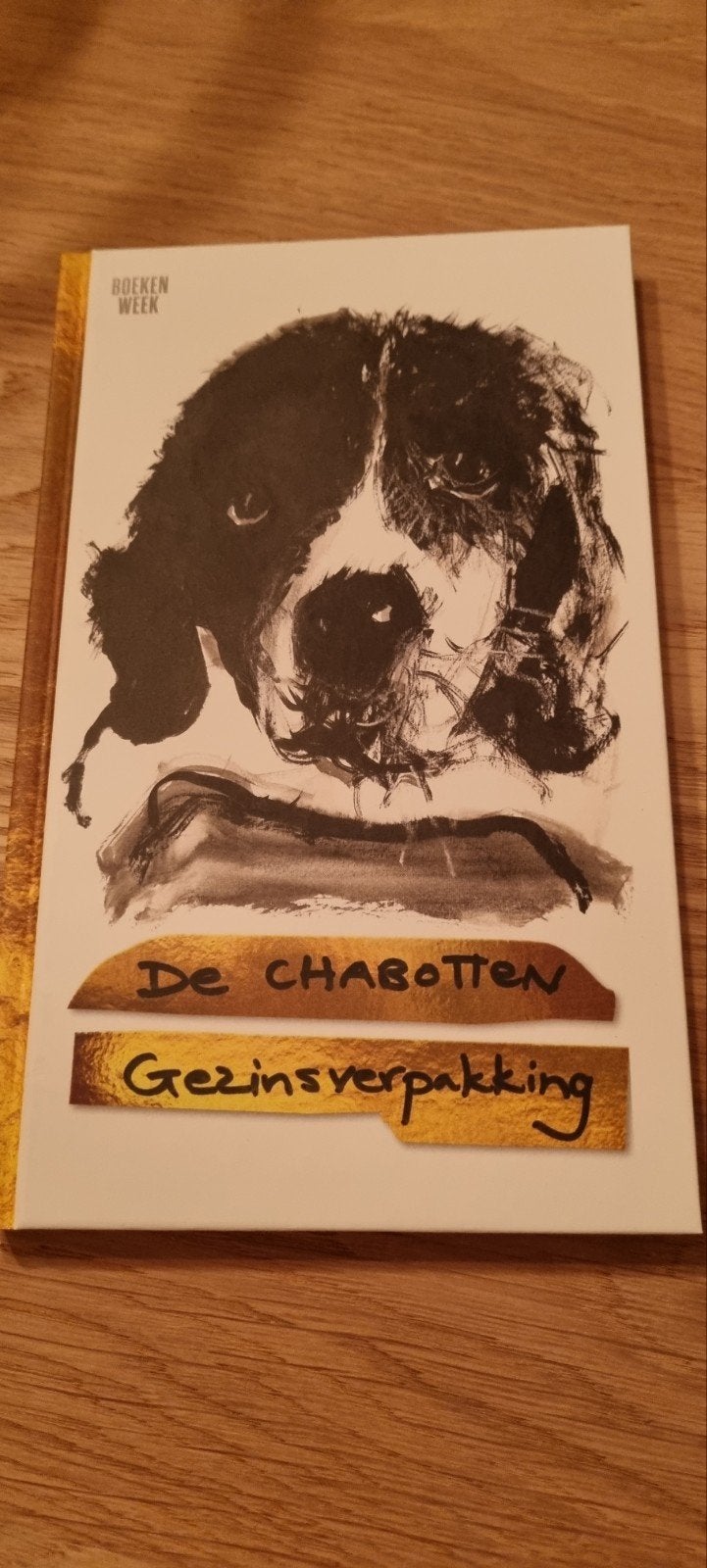 Gezinsverpakking | los exemplaar Boekenweekgeschenk 2024, Ophalen of Verzenden, Zo goed als nieuw, De Familie Chabot
