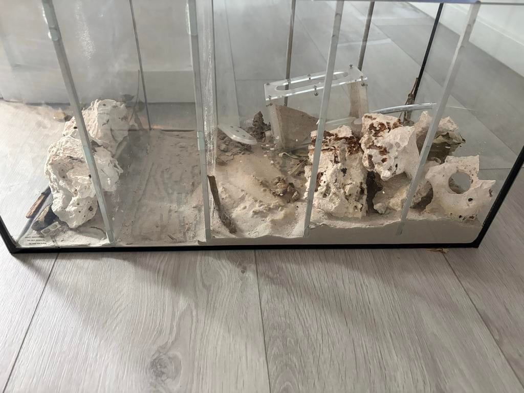 Gratis Terrarium, Dieren en Toebehoren, Reptielen en Amfibieën | Toebehoren, Ophalen